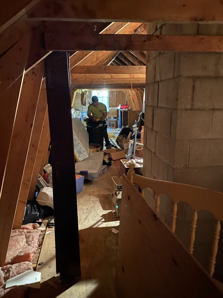 Attic Clean-Out - Peterborough, NH
Attic Clean-Out - Peterborough, NH
