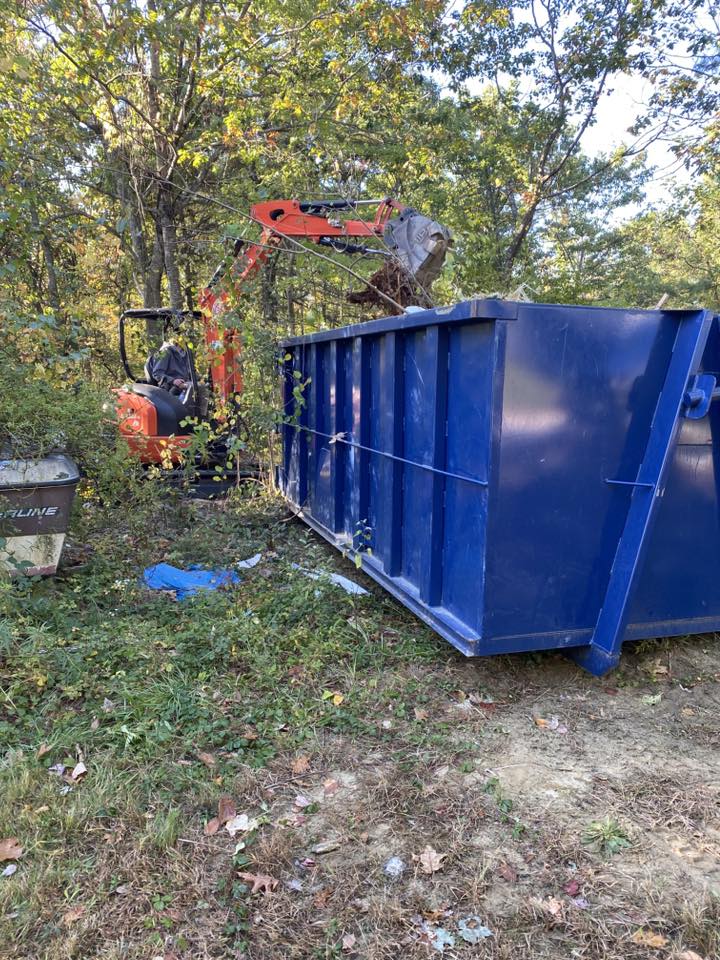 Professional Backyard Structure Removal Services