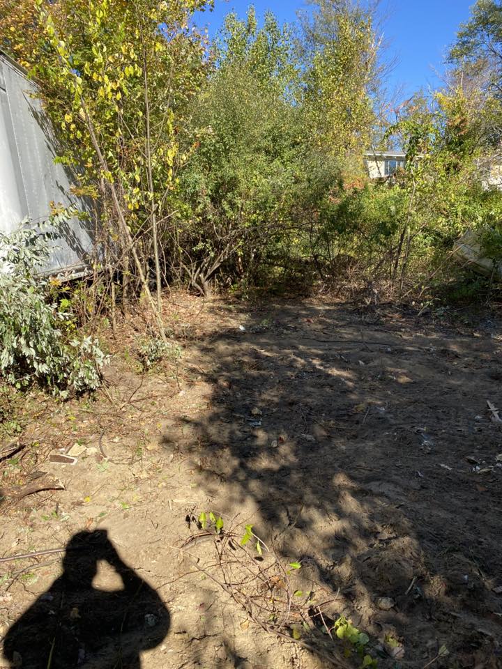 Professional Backyard Structure Removal Services